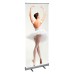 Roll-up banner Roll-up banner