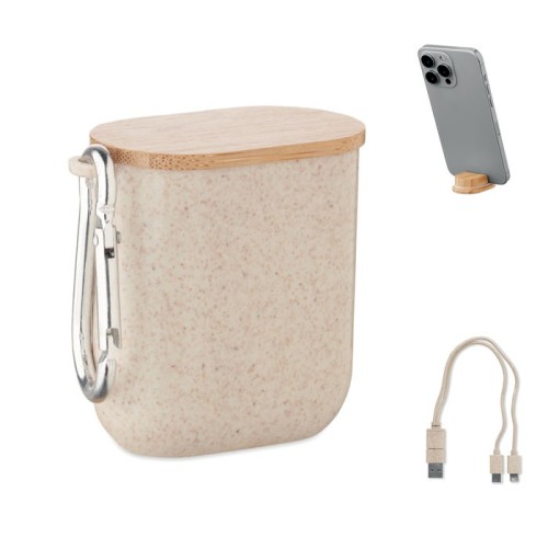 Set cabluri de incarcare Cabastra
