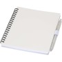 Set notes cu pix Nieve