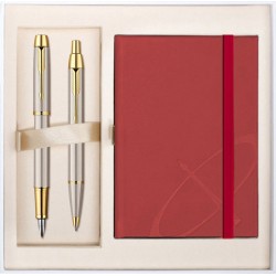 Set Parker iM Standard Stilou si Pix