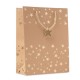 Punga cadou model festiv Sparkle 