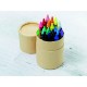 Set creioane cerate Vica