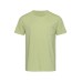 Tricou Stedman Shawn Tricou Stedman Shawn