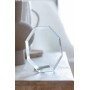 Trofeu sticla Champion
