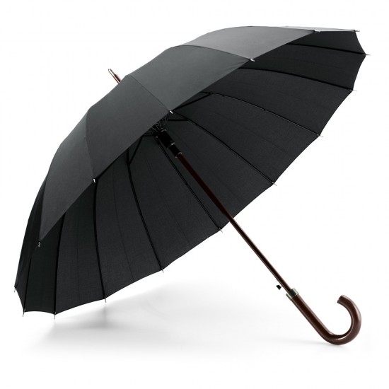 Umbrela automata Hedia