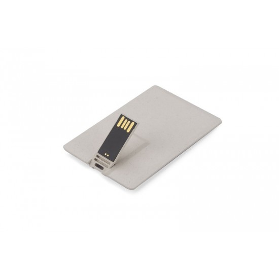 Stich usb 64 GB  Karta Eco